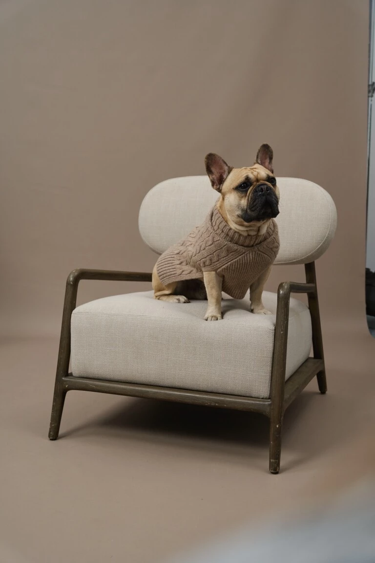 Кейп для собачек