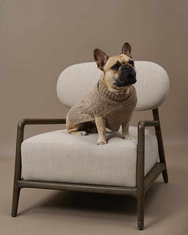 Кейп для собачек